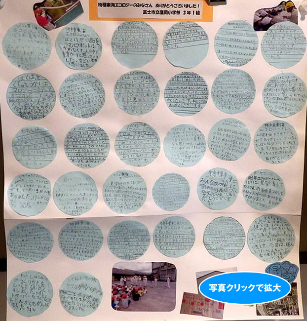 鷹岡小学校の皆さんからお手紙をいただきました。